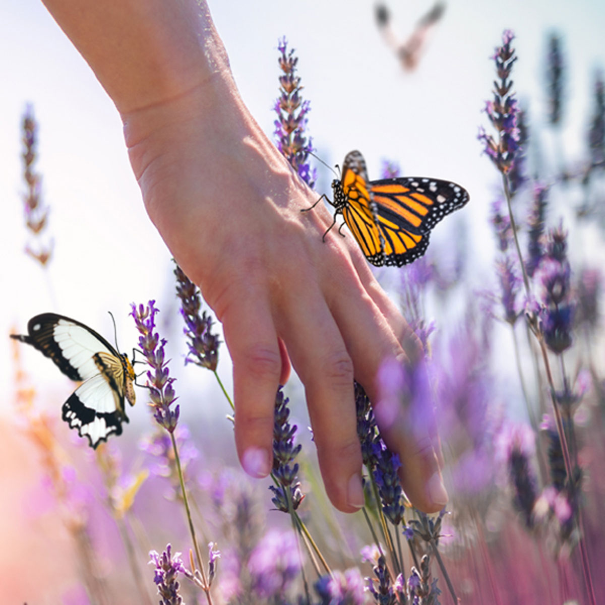 Travail sur l'inconscient dans l'hypnose